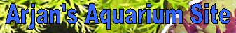 Arjan's Aquarium Site