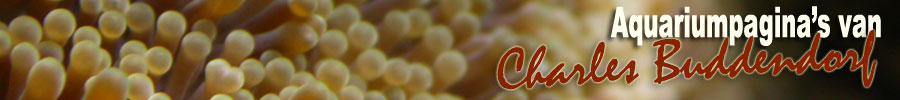 Aquariumpagina's van Charles Buddendorf